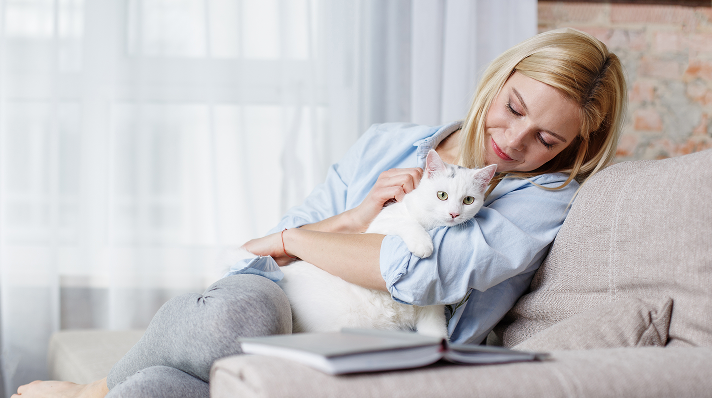 Phoenix Insurance Seguro Pet